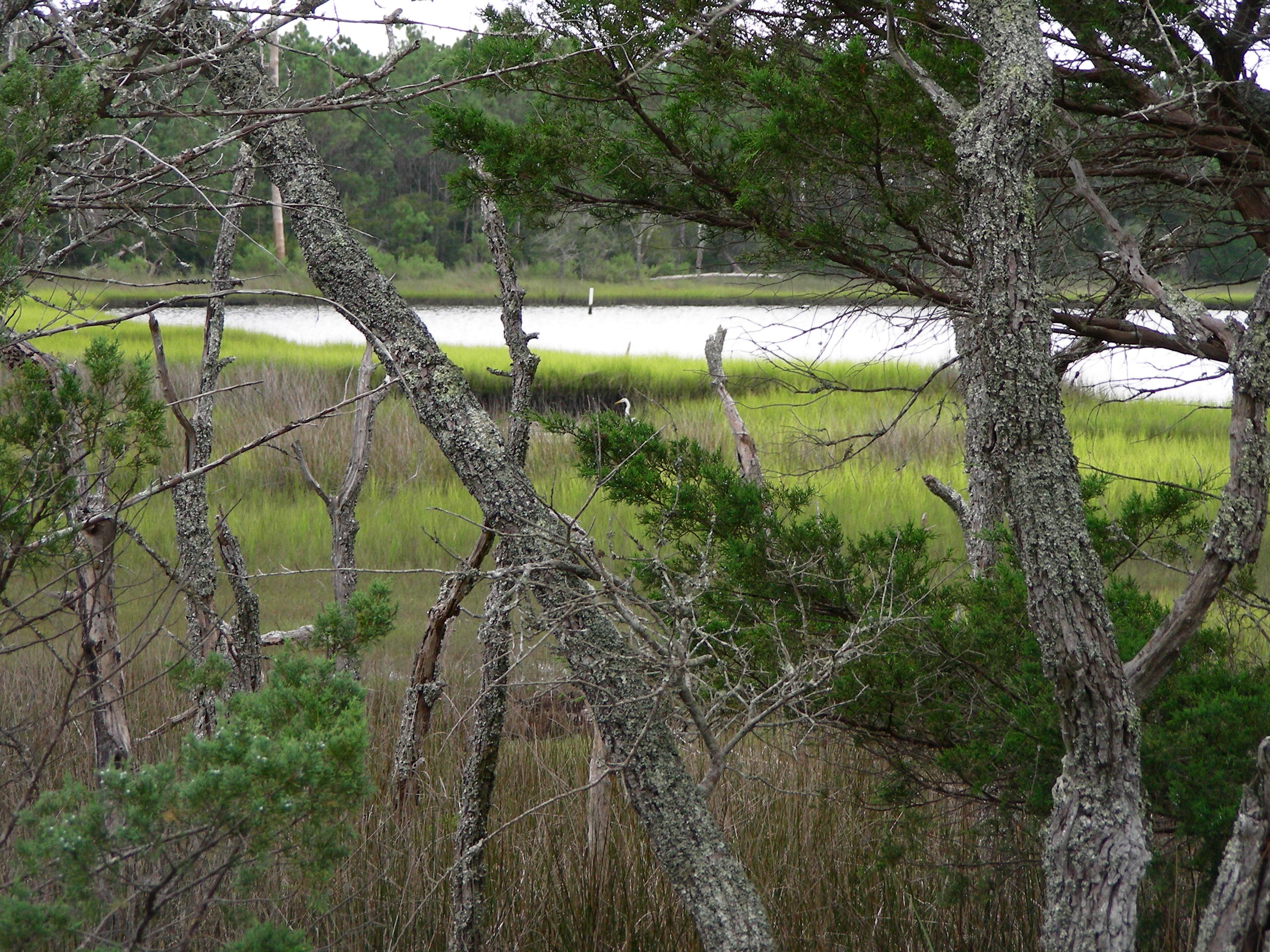 ./2014/Bear Island RSS/DSCN9311.JPG